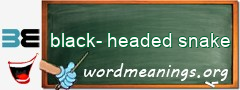 WordMeaning blackboard for black-headed snake